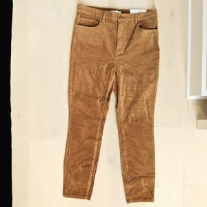 NWT LOFT Petite High Waisted Skinny Corduroy Pants
